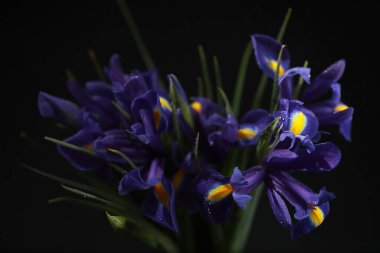 Bir buket taze çiçek. Sevdiğine bayram hediyesi. Sevgililer Günü arkaplanı. Gül, lale, Iris çiçek aranjmanı.