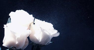 Bir buket taze çiçek. Sevdiğine bayram hediyesi. Sevgililer Günü arkaplanı. Gül, lale, Iris çiçek aranjmanı.