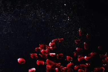 Olgun tatlı nar tohumlarına su damlaları düşer. Metnin için kopyalama alanı olan taze nar arkaplanı. Vejetaryen ve vejetaryen kavramı.