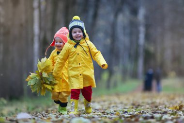 Küçük çocuklar yaprakları sonbaharda sonbahar parkta yürüyorlar