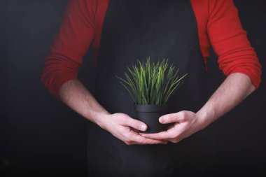 Genç bir bahçıvan fidelerle ve çiçek kesimleriyle ilgilenir. Çiçek tepsisiyle bahçıvan. Baharda fidelerle ilgilenen adam..