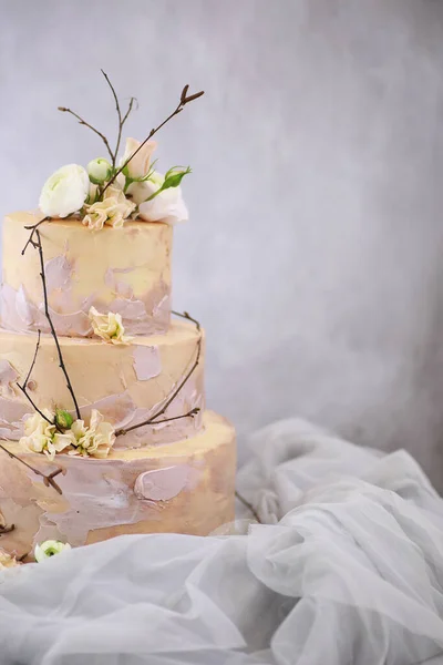 Beautiful Festive Cake Biscuit Different Creams Decorate — Stock Photo, Image