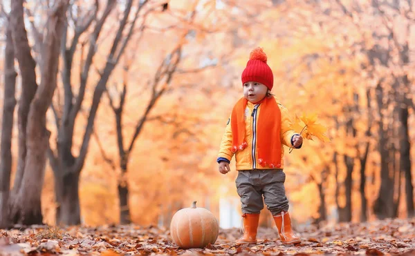 子供は自然の中を歩く 黄昏の子供が公園を歩いている 秋の公園の葉の秋の男の子 — ストック写真