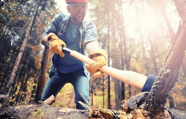 Trabajador Masculino Con Hacha Cortando Árbol Bosque — Foto de Stock