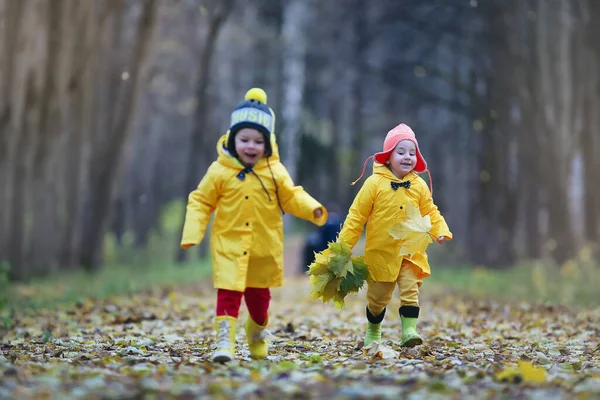 小さな子供たちは 葉の秋に秋の公園で歩いています — ストック写真