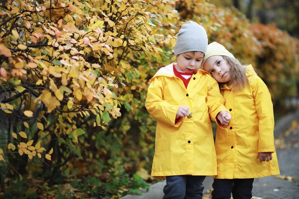 Діти Ходять Осінньому Парку Восени — стокове фото