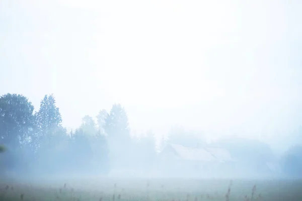 Brouillard Sur Terrain Soirée Nature Été Avec Brouillard Blanc — Photo