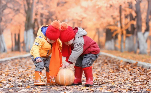 孩子们在大自然中散步 暮色中的孩子们在公园里散步 哥哥和姐姐在秋城公园落叶 — 图库照片