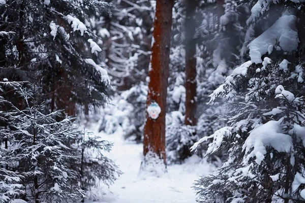 Winter forest landscape. Tall trees under snow cover. January frosty day in park.