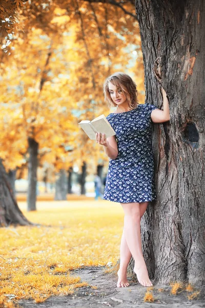 Schöne Mädchen Park Auf Einem Sonnigen Herbstspaziergang — Stockfoto