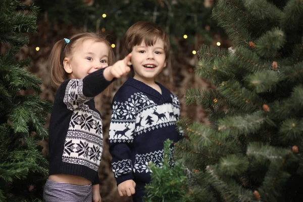 Małe Dziecko Przy Drzewie Noworocznym Dzieci Ozdabiają Choinkę Dziecko Swetrze — Zdjęcie stockowe