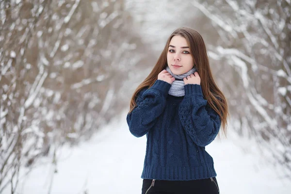Kış Parkında Yürüyüş Yapan Genç Bir Kız Kış Ormanlarında Noel — Stok fotoğraf