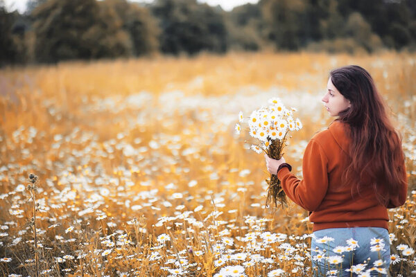 Beautiful girl collects daisies in autumn field evening sunset
