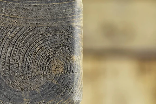 木の質感の背景 板のコントラストのある質感 木造マクロショット — ストック写真