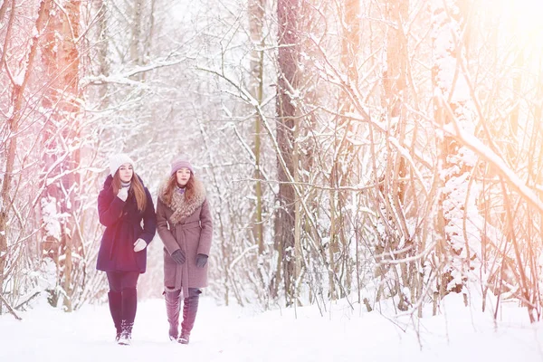 Egy Fiatal Lány Téli Parkban Sétálni Karácsonyi Ünnepek Téli Erdőben — Stock Fotó