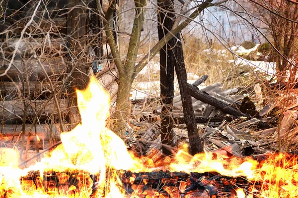 Деревянный Дом После Пожара Уголь Бревнах Пепел Дома Пожара Сожжённый — стоковое фото