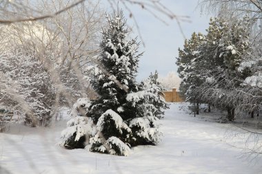 Winter Park 'ta. Karlı havada manzara manzarası. Ocak Günü.