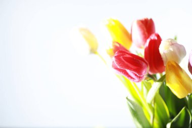 Bir buket taze çiçek. Sevdiğine bayram hediyesi. Sevgililer Günü arkaplanı. Gül, lale, Iris çiçek aranjmanı.