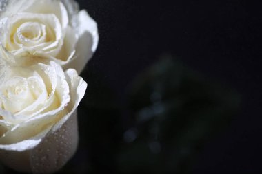 Bir buket taze çiçek. Sevdiğine bayram hediyesi. Sevgililer Günü arkaplanı. Gül, lale, Iris çiçek aranjmanı.