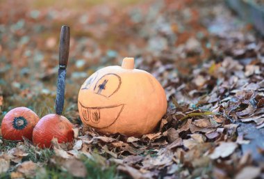 Sonbahar gelenekleri ve Cadılar Bayramı hazırlıkları. Doğada bir ev, masada balkabağından yapılmış bir lamba kesilir..