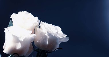 Bir buket taze çiçek. Sevdiğine bayram hediyesi. Sevgililer Günü arkaplanı. Gül, lale, Iris çiçek aranjmanı.