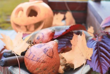 Sonbahar gelenekleri ve Cadılar Bayramı hazırlıkları. Doğada bir ev, masada balkabağından yapılmış bir lamba kesilir..