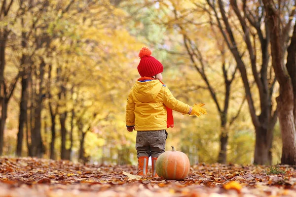 子供たちは自然に歩いている 黄昏の子供たちが公園を歩いています 秋の公園の葉の秋の妹と弟 — ストック写真