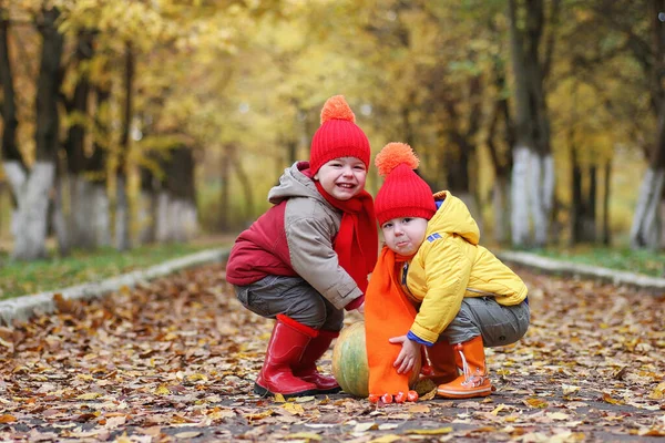 Barn Går Naturen Twilight Kids Går Runt Parken Broder Med — Stockfoto