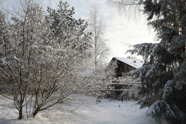 Зимовий Парк Пейзаж Снігову Погоду Січень — стокове фото