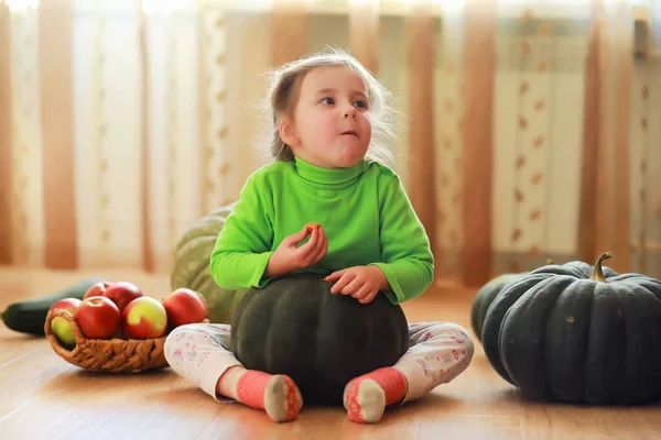 Petit Enfant Choisir Une Citrouille Automne Enfant Assis Sur Une — Photo