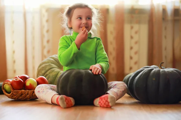 Petit Enfant Choisir Une Citrouille Automne Enfant Assis Sur Une — Photo