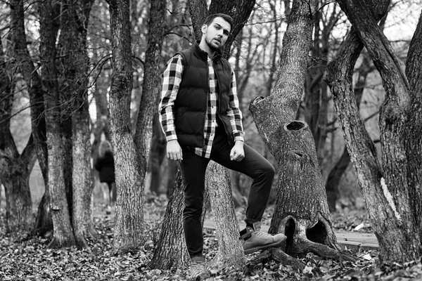 Homem Barba Jovem Parque Outono — Fotografia de Stock