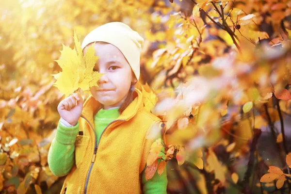 小女孩在秋天的公园里散步 — 图库照片