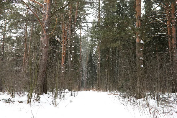 Winterlandschaft Aus Feldern Und Straßen Schnee — Stockfoto