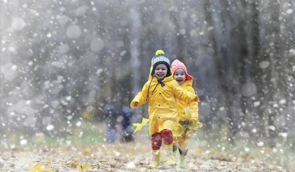 Los Niños Pequeños Caminan Parque Otoño Primera Helada Primera Nieve — Foto de Stock