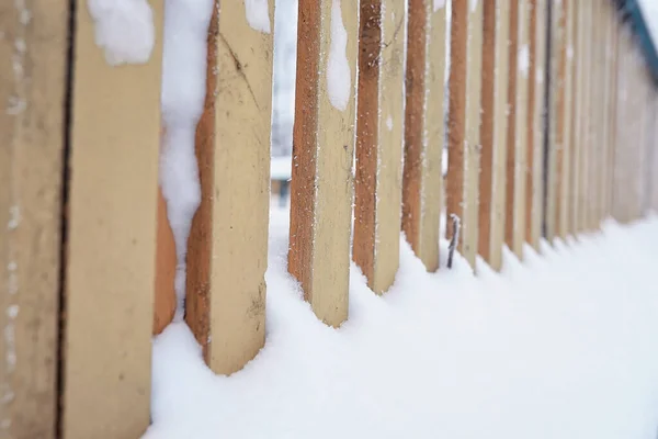 Winterliche Waldlandschaft Hohe Bäume Unter Einer Schneedecke Frosttag Januar Park — Stockfoto