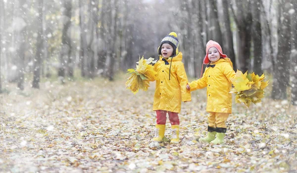 Toddlers walk in the autumn park. First frost and the first snow in the autumn forest. Children play in the park with snow and leaves