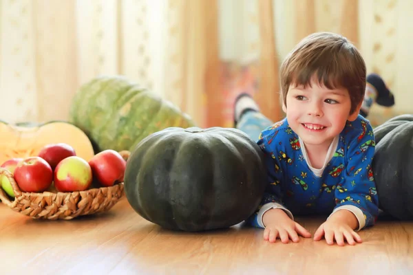 Petit Enfant Choisir Une Citrouille Automne Enfant Assis Sur Une — Photo