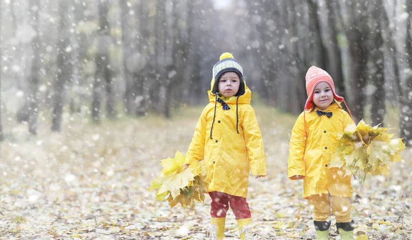 Los Niños Pequeños Caminan Parque Otoño Primera Helada Primera Nieve — Foto de Stock