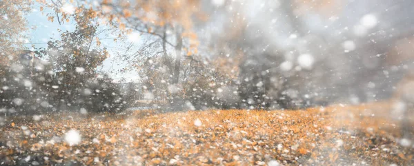 最初の雪の日の背景秋の公園 — ストック写真