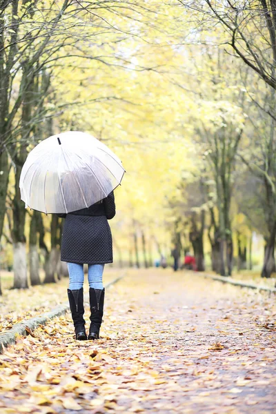Fiatal Lány Sétál Őszi Parkban Egy Esernyővel — Stock Fotó