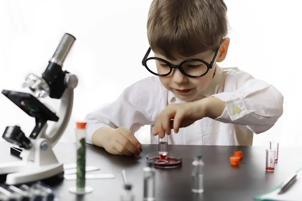 Νέοι Επιστήμονες Χημικοί Επαγγελματικός Προσανατολισμός Των Παιδιών Επιλογή Επαγγέλματος Γιατρός — Φωτογραφία Αρχείου