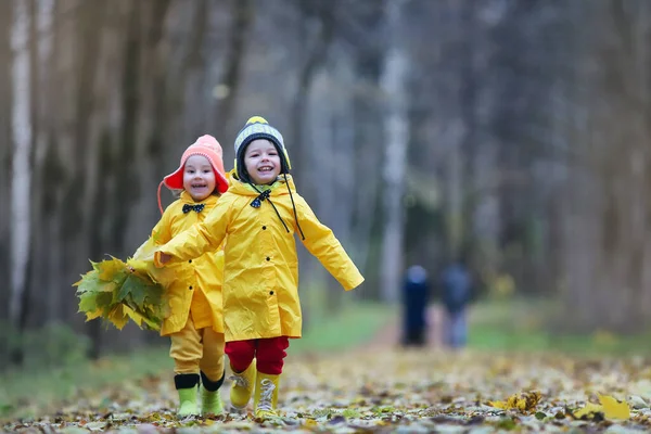 Les Petits Enfants Marchent Dans Parc Automne Automne Congé — Photo