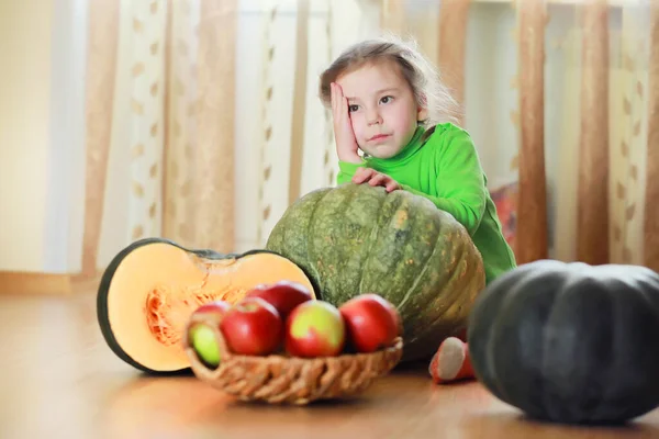 Niño Pequeño Escogen Calabaza Otoño Niño Sentado Calabaza Gigante Calabaza — Foto de Stock