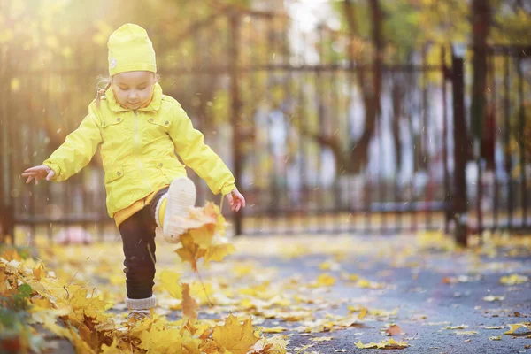 Liten Flicka Promenader Höstparken — Stockfoto