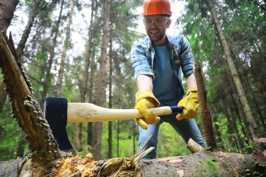 Ormanda ağaç kesen baltalı bir erkek işçi..