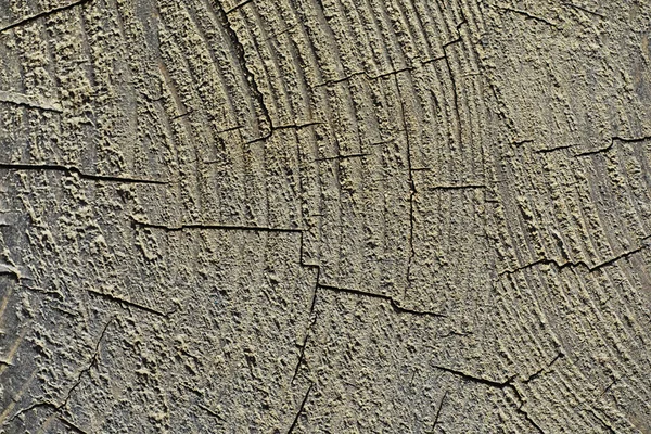 木の質感の背景 板のコントラストのある質感 木造マクロショット — ストック写真