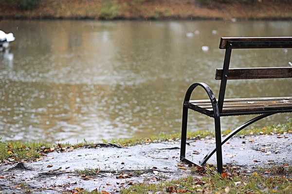 Sırasında Parkta Sonbahar Yağmuru — Stok fotoğraf