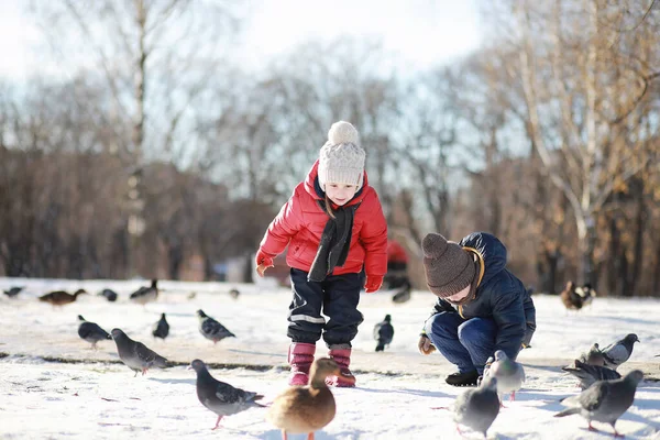 Kinderen Het Winterpark Spelen Met Sno — Stockfoto