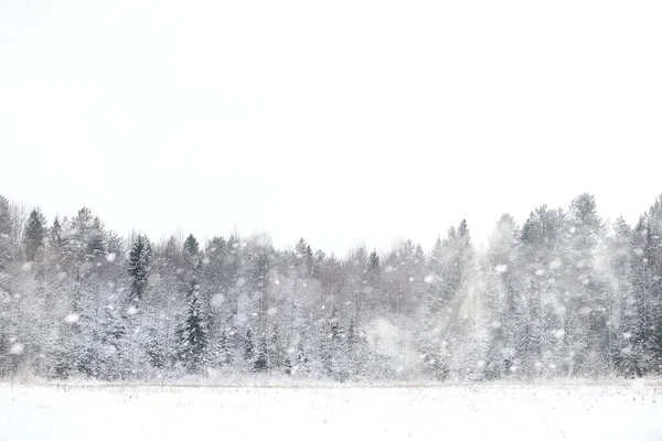 Téli Táj Vidéki Mezők Utak Hóban — Stock Fotó